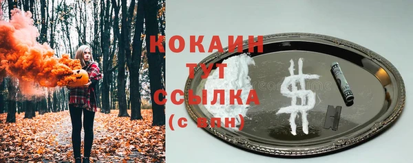 меф Снежногорск