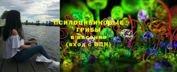 гашик Алексин