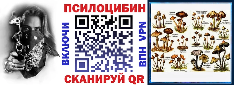 Псилоцибиновые грибы ЛСД  где купить   ссылка на мегу маркетплейс  Цивильск 